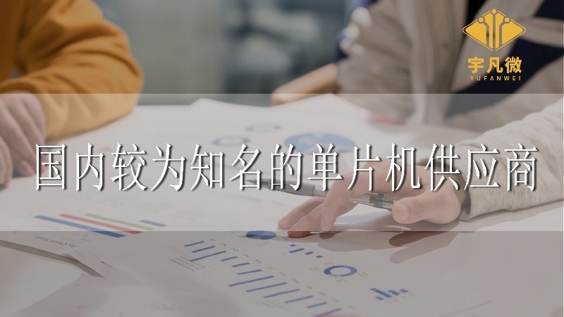 國內較為知名的單片機供應商