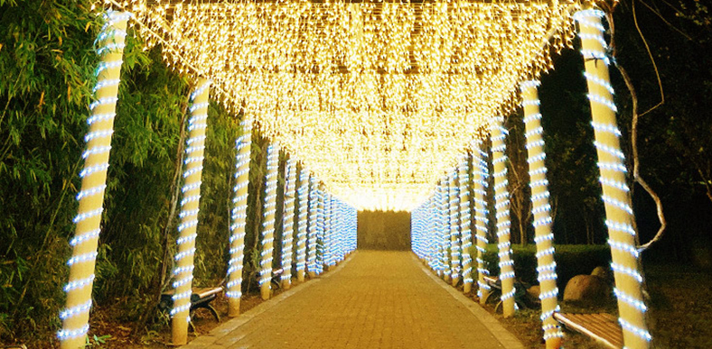 LED圣誕燈方案開發(fā)